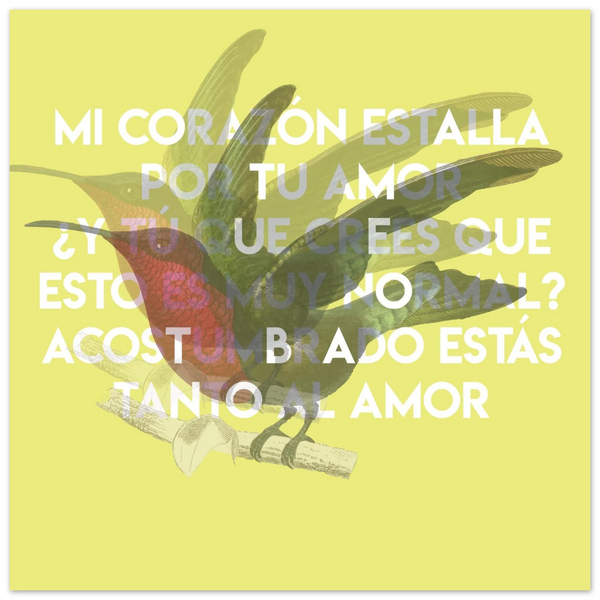 2ca60afa-7d51-4083-a13b-70751a9f4c87