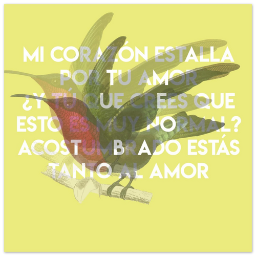 2ca60afa-7d51-4083-a13b-70751a9f4c87