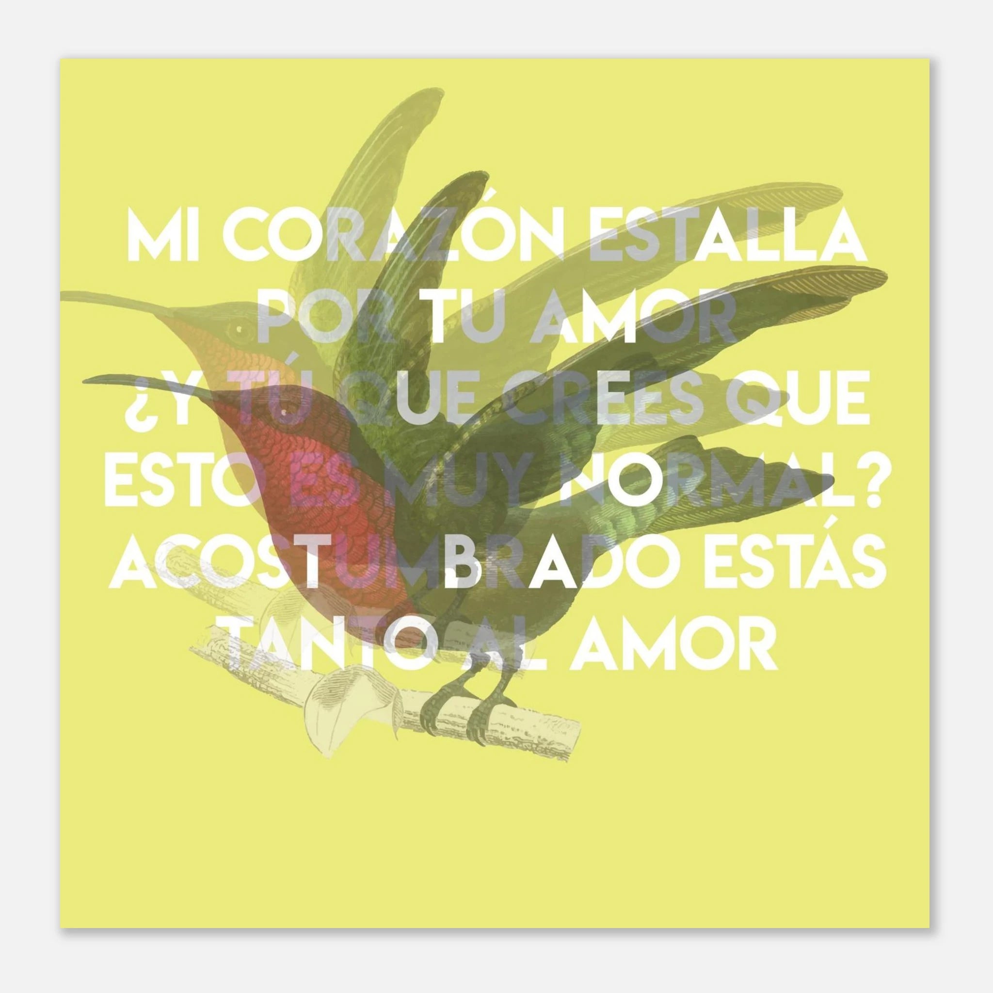 c042e3c0-2f0f-47dd-af4c-af36bd24cb5c